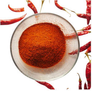 Premium Red Chilli – Pure Heat & Rich Flavor