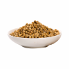 Coriander