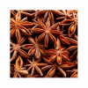 Star Anise